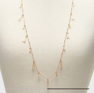 Banana Republic Long Necklace With Gems and Feathery Pods